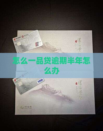 一品贷逾期半年怎么办理 一品贷逾期半年怎么办理