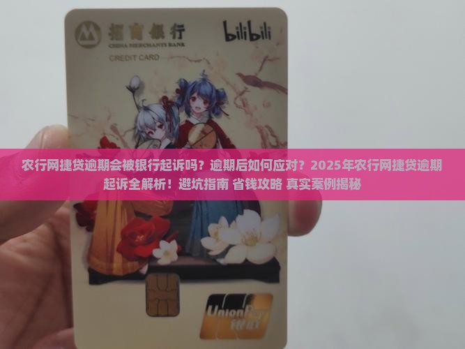 农行网捷贷逾期银行起诉的后果及应对措施
