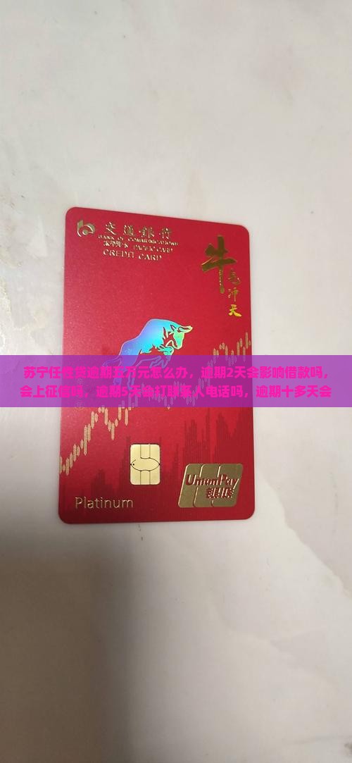苏宁任性贷逾期五万元怎么办