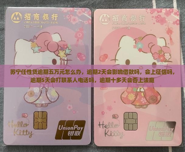 苏宁任性贷逾期五万元怎么办
