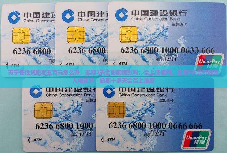 苏宁任性贷逾期五万元怎么办