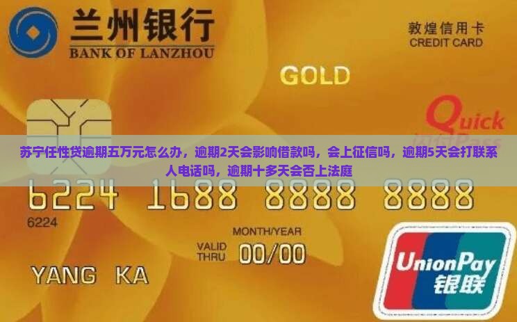 苏宁任性贷逾期五万元怎么办