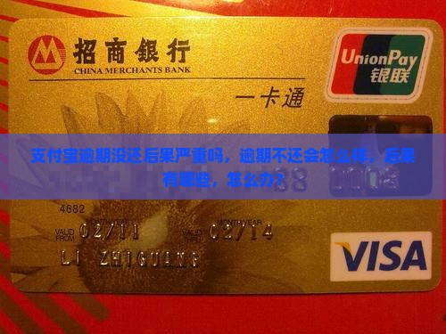 支付宝逾期没还后果严重吗