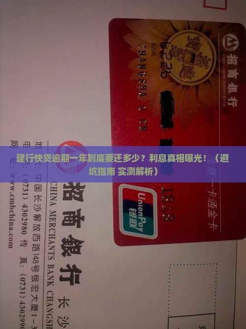 建行快贷一年逾期利息多少