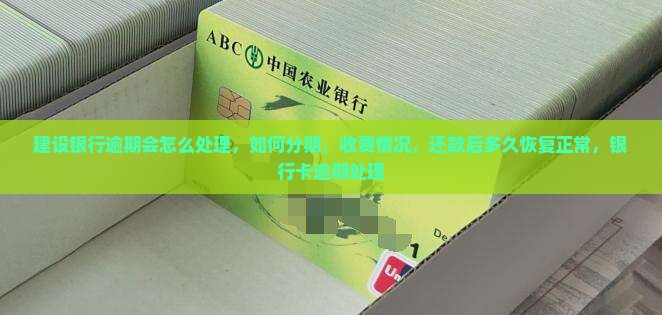 建设银行逾期会怎么处理