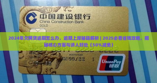 2024年欠网贷逾期怎么办