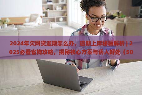 2024年欠网贷逾期怎么办