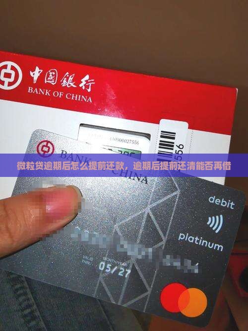 微粒贷逾期后怎么提前还款