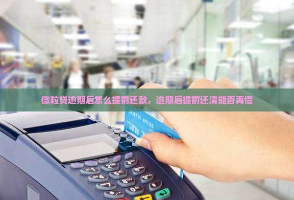 微粒贷逾期后怎么提前还款