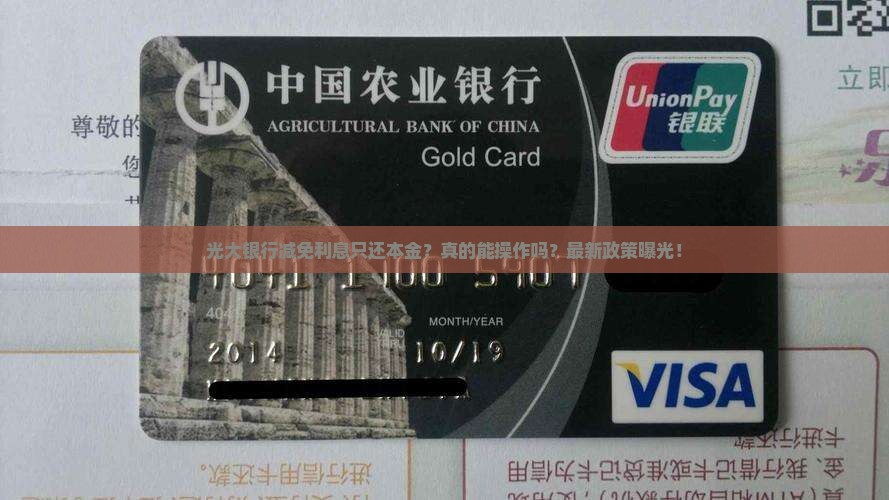 光大银行减免利息只还本金怎么操作