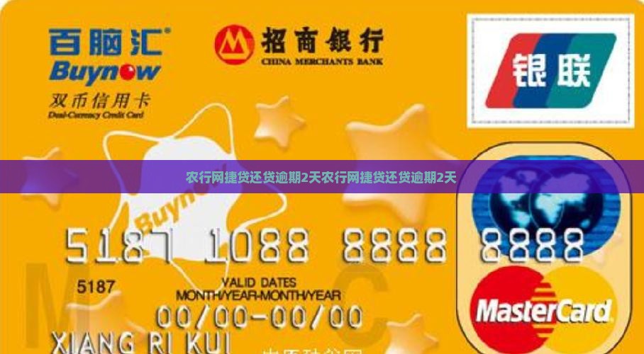 农行网捷贷还贷逾期2天
