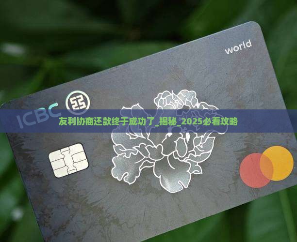 友利协商还款终于成功了