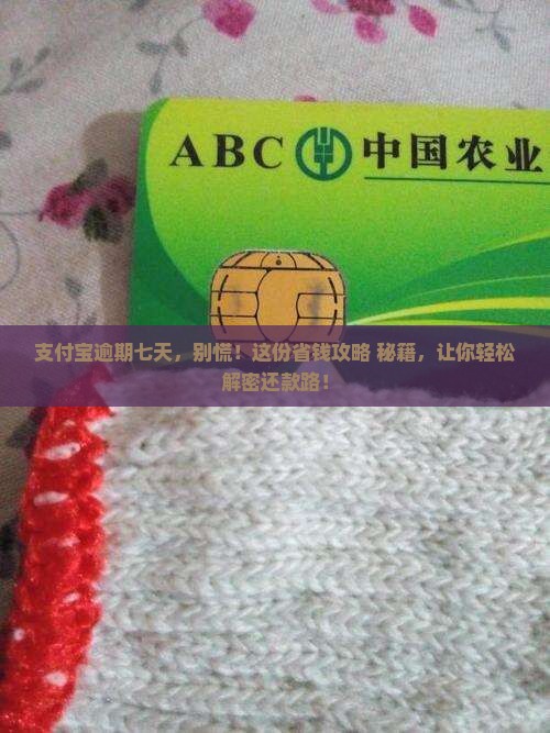 支付宝逾期七天了怎么办呢快速解决方法分享