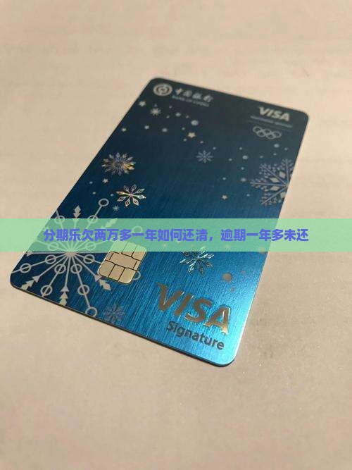 分期乐欠两万多一年如何还清