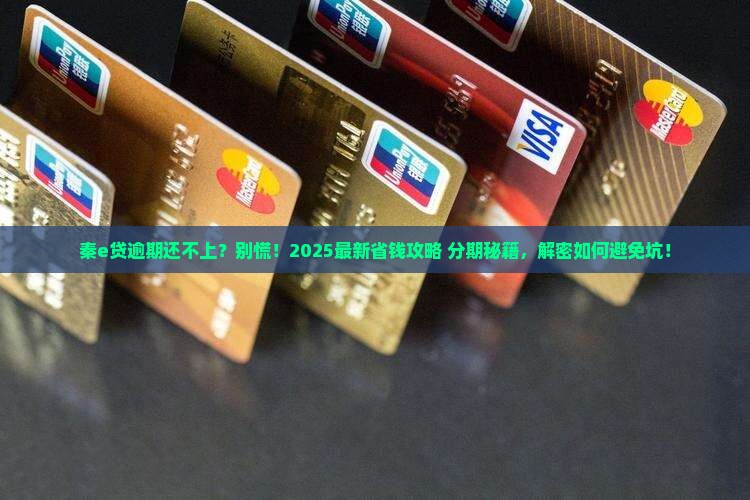 秦e贷逾期还不上可以分期还款吗