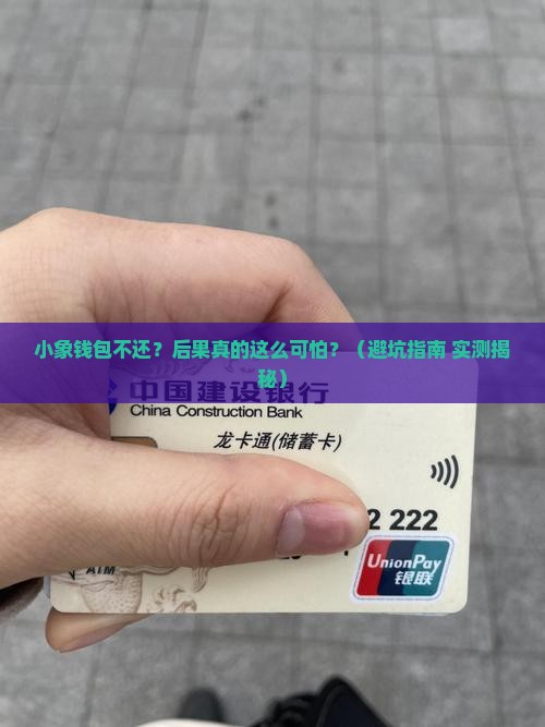 小象钱包不还会有什么后果