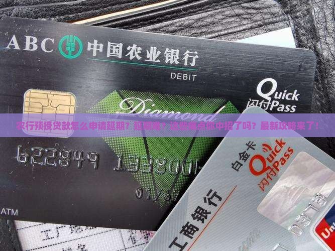 农行预授贷款怎么申请延期需要哪些步骤