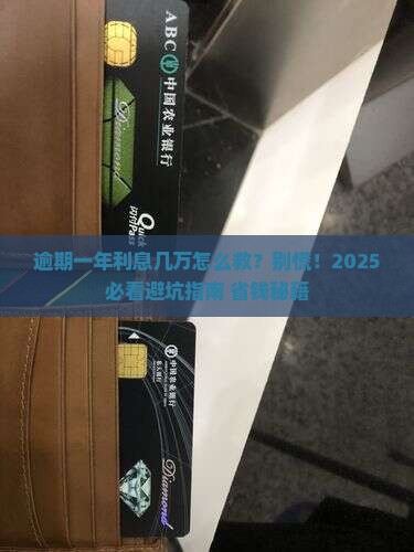 逾期一年利息几万如何解决