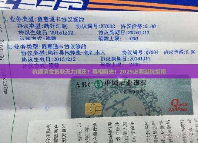 杭银消金贷款无力偿还的原因分析