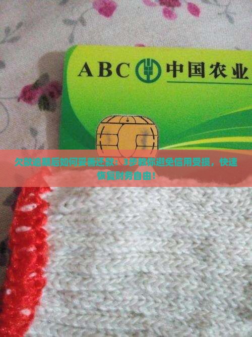 欠款逾期后如何妥善还款