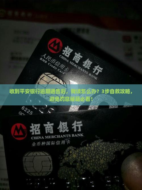 收到平安银行逾期通告后该如何处理