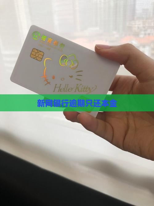 新网银行逾期只还本金