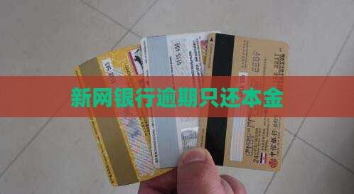 新网银行逾期只还本金