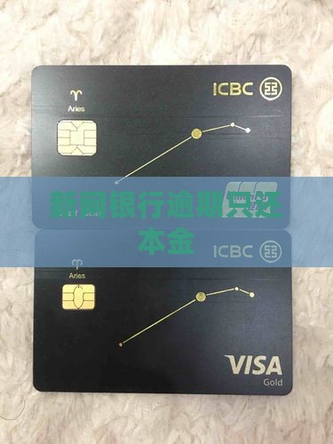 新网银行逾期只还本金