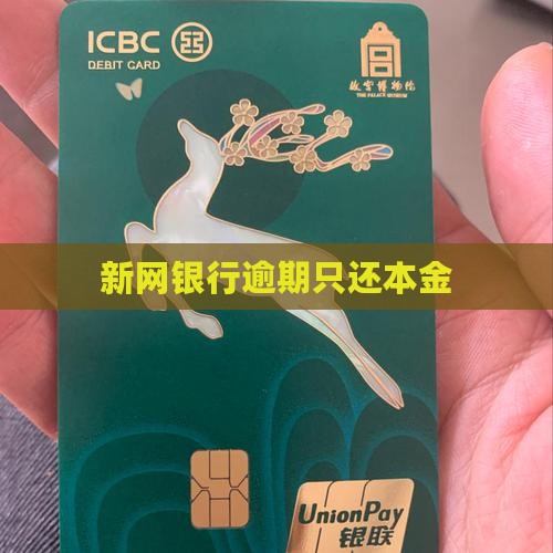 新网银行逾期只还本金