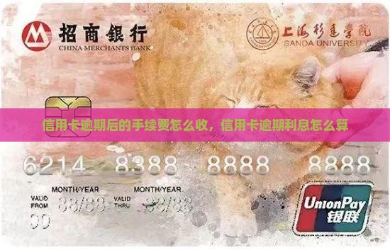 信用卡逾期后的手续费怎么收
