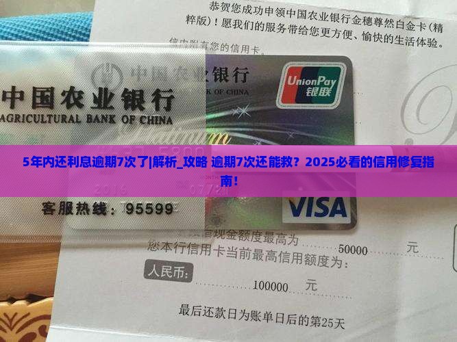 5年内还利息逾期7次了