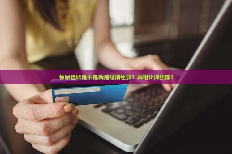 停息挂账是不是就是延期还款 停息挂账是不是就是延期还款