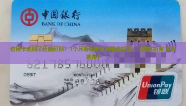 信用卡逾期延期还款