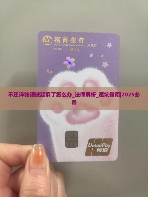 不还洋钱罐被起诉了怎么办