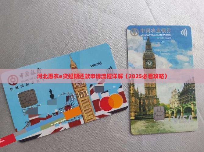 河北惠农e贷延期还款申请流程详解