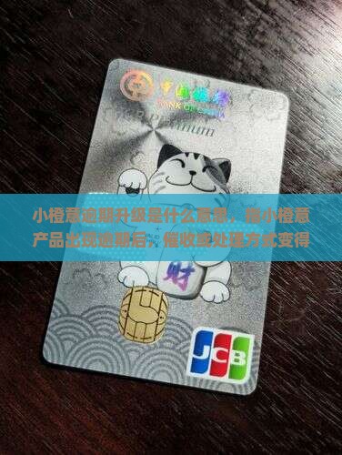 小橙意逾期升级是什么意思