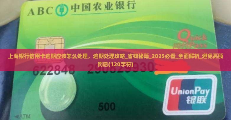 上海银行信用卡逾期应该怎么处理