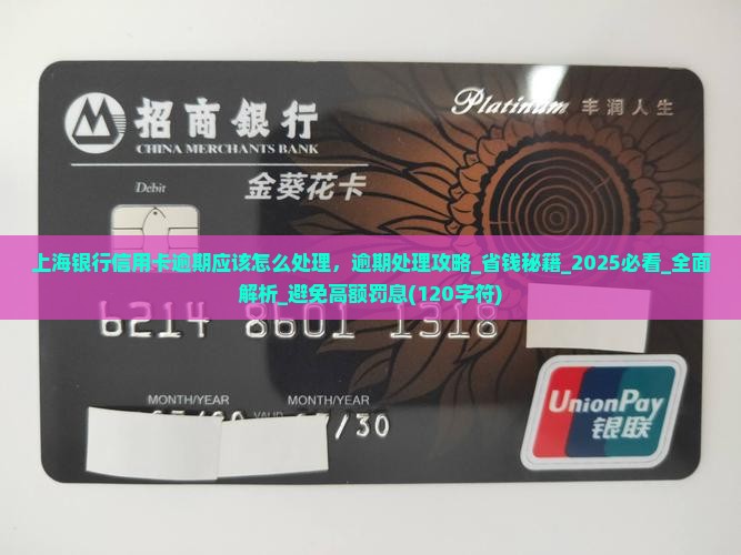 上海银行信用卡逾期应该怎么处理