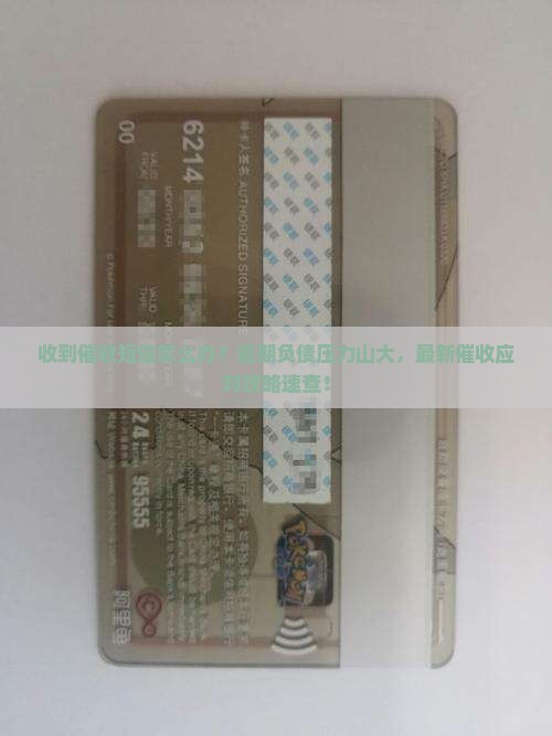 但是收到催收短信该怎么办