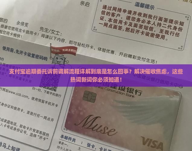 支付宝逾期委托诉前调解流程详解
