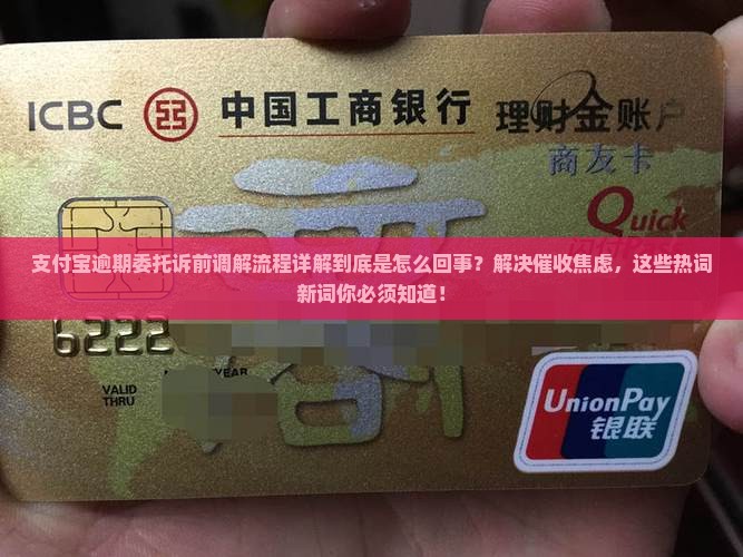 支付宝逾期委托诉前调解流程详解