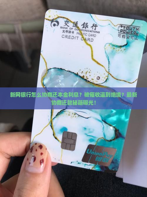 新网银行怎么协商还本金利息