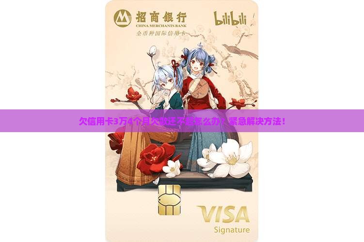 欠信用卡3万4个月