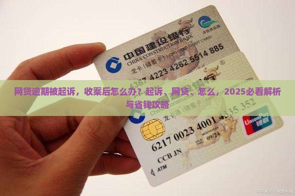 网贷被起诉显示已收案怎么办