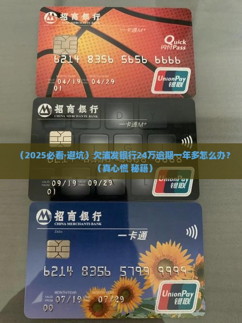 欠浦发银行24万逾期一年多怎么办