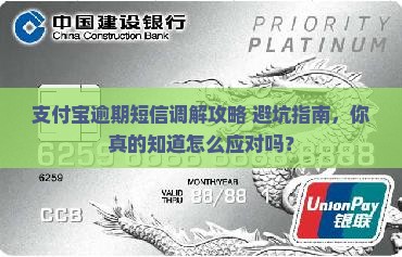支付宝逾期短信调解流程详解