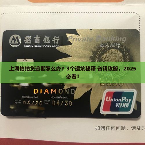 上海拍拍贷逾期