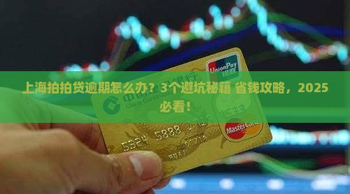 上海拍拍贷逾期