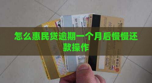 惠民贷逾期一个月后面能慢慢还款吗怎么操作
