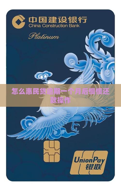 惠民贷逾期一个月后面能慢慢还款吗怎么操作